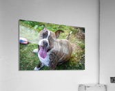 jade Acrylic Print