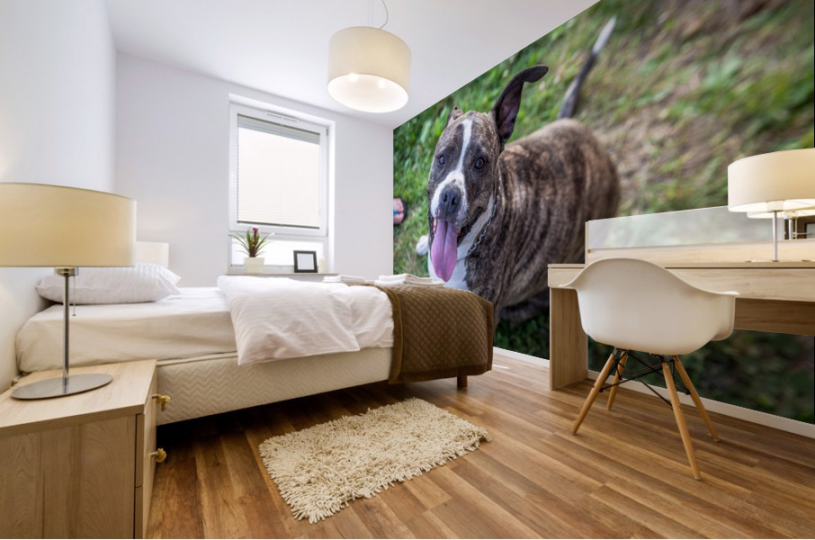 jade Mural print