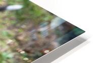 jade HD Metal print