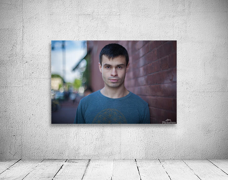 just me3 Wall Preview