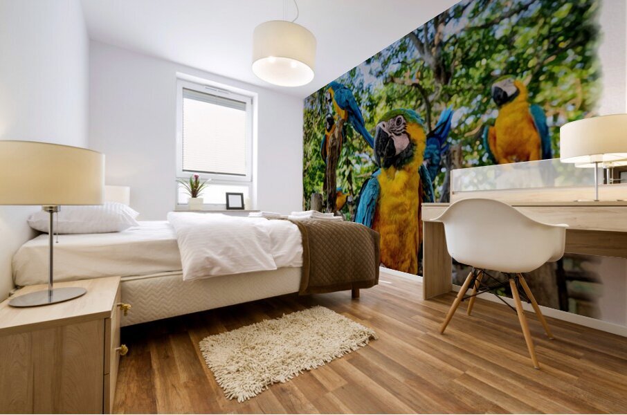 Blue and Gold Macaws Mural print