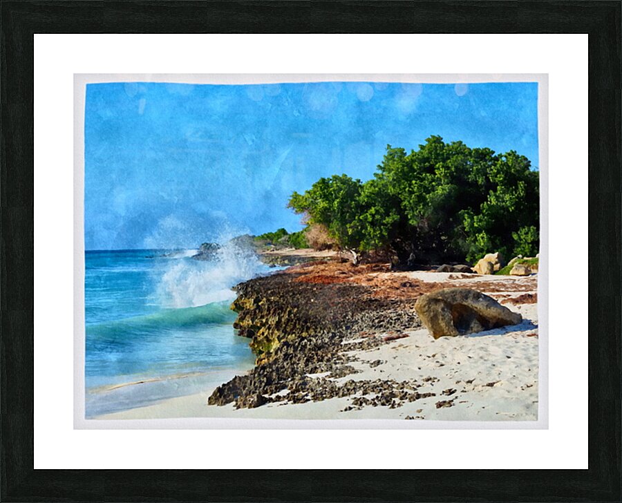 Aruba Seascape Picture Frame print