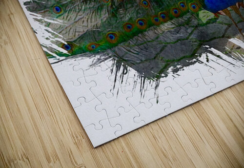 The Show Off  A K Mits Imagery puzzle