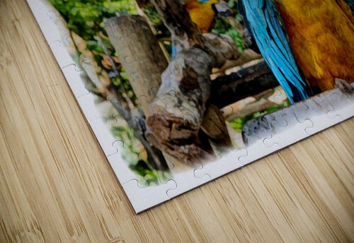 Blue and Gold Macaws A K Mits Imagery puzzle