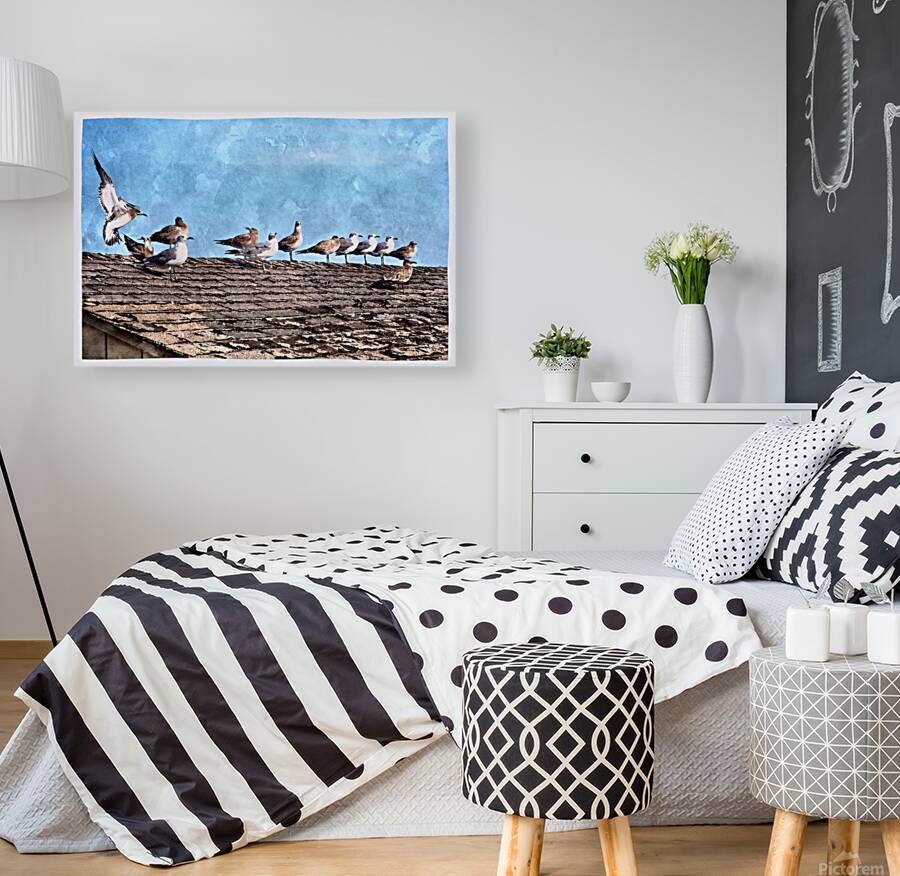 Seabirds Station Reproduction