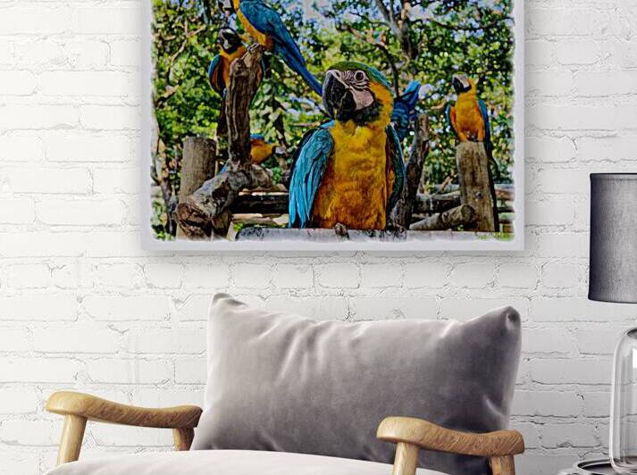 Blue and Gold Macaws by A K Mits Imagery