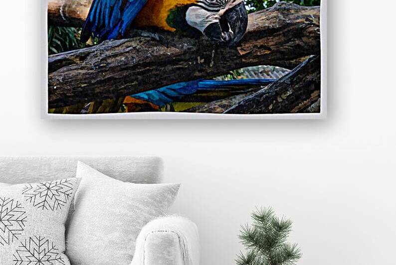 Blue and Gold Macaw Parrot by A K Mits Imagery