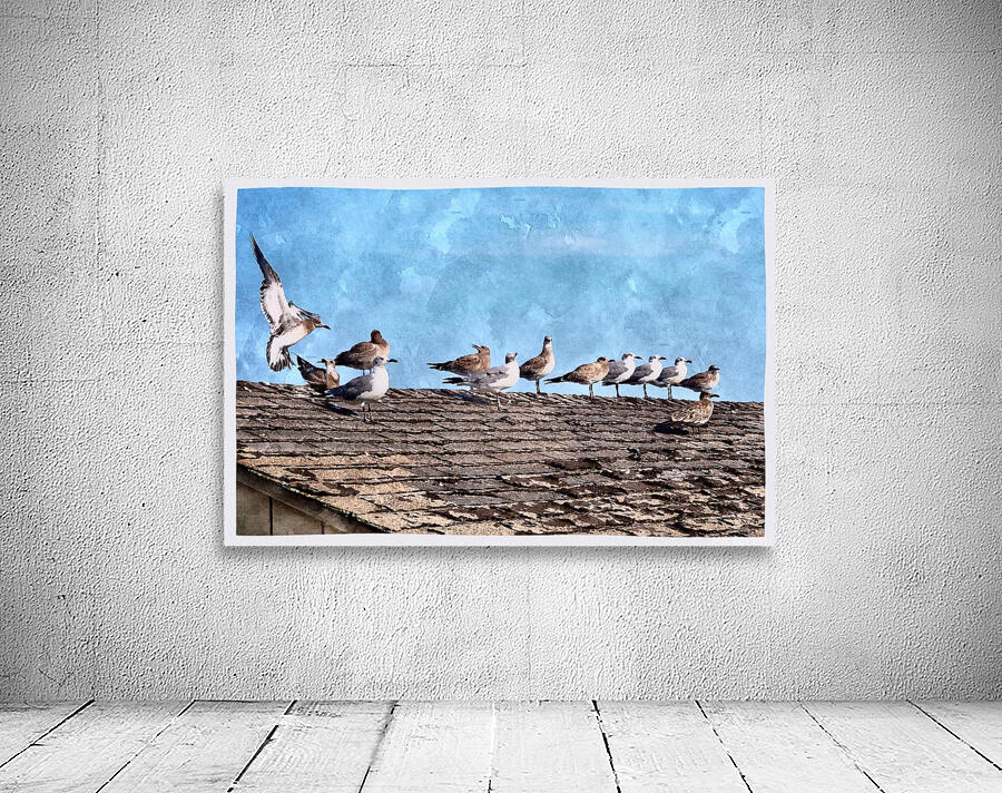 Seabirds Station Wall Preview