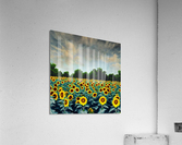 Sunflower power  Acrylic Print