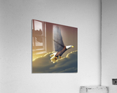 Take Flight Acrylic Print
