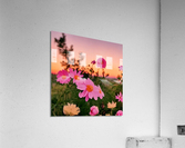 Abundant Acrylic Print