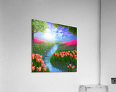 Eden Acrylic Print