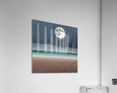 Bedazzled Acrylic Print