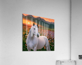 Picturesque Acrylic Print