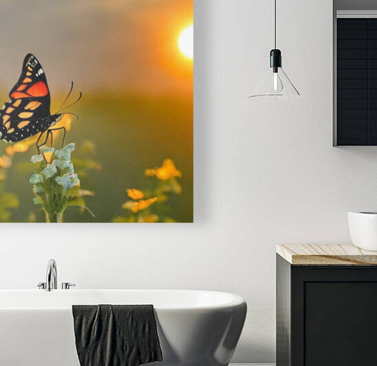 Beauty and the Butterfly  by JAMIE JACKSON