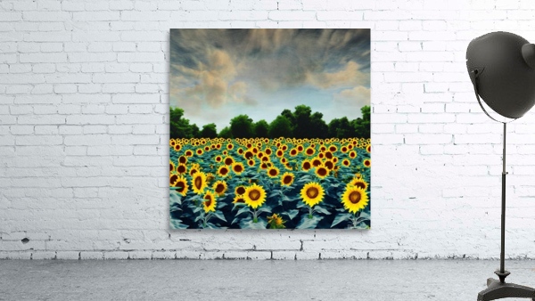Sunflower power  Wall Preview