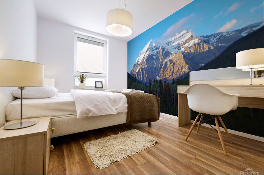 The Evening glow     Mural print