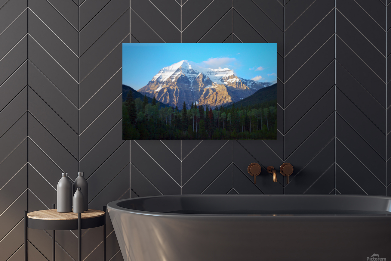 The Evening glow     Reproduction