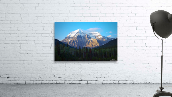 The Evening glow     Wall Preview