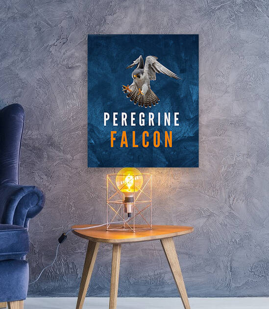 Peregrine Falcon  by Goldfish Design