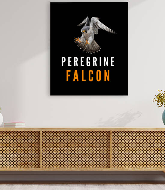 Peregrine Falcon   by Goldfish Design