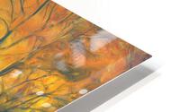Be like the fox HD Metal print