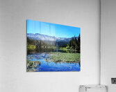 Mammoth Acrylic Print