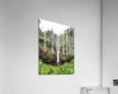 Multnomah Falls  Acrylic Print