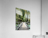 Ross Lake Acrylic Print