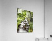Oregon Acrylic Print