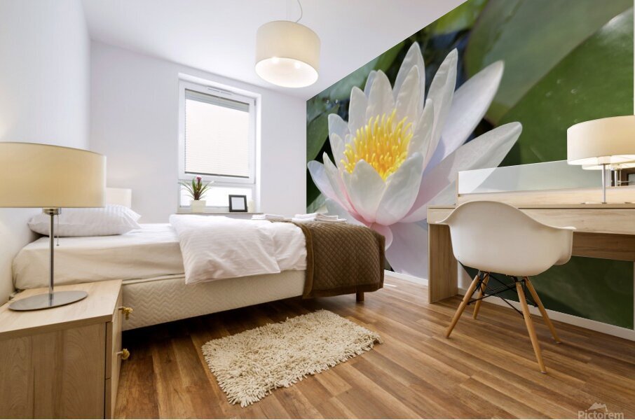 Water Lily Mural print