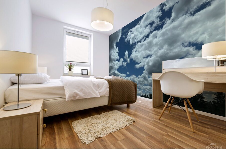 Clouds Mural print