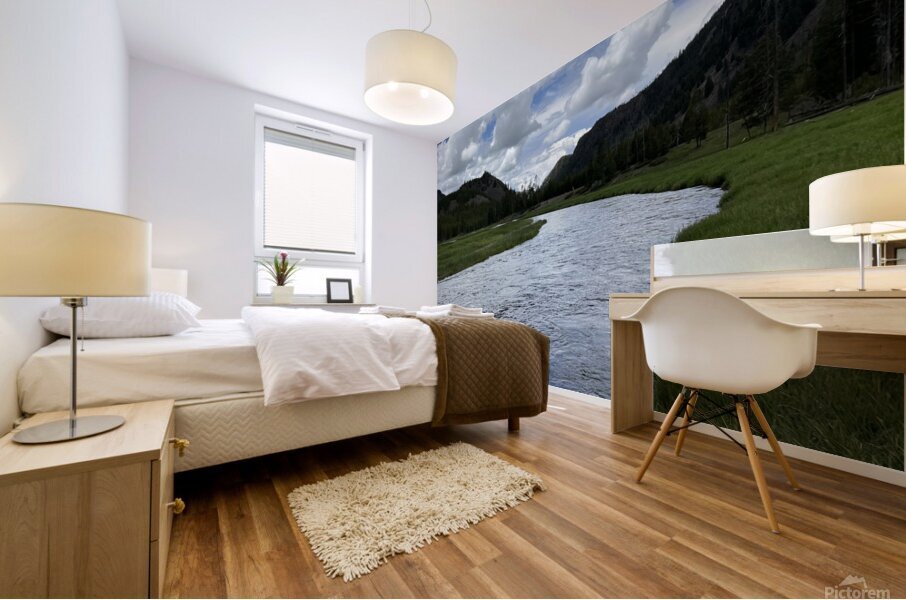Montana Mural print
