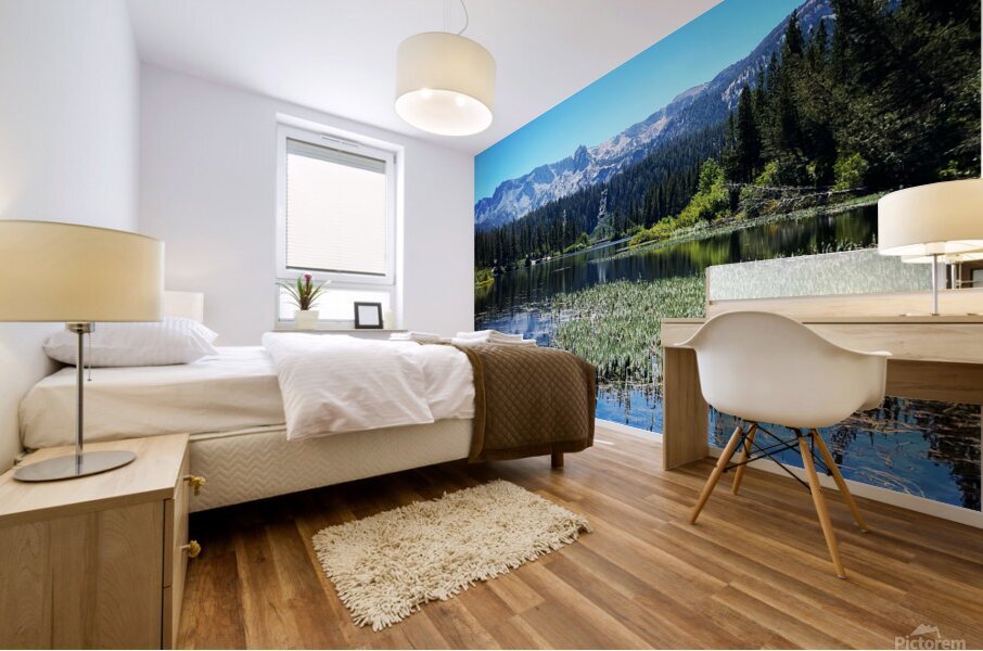 Mammoth Mural print