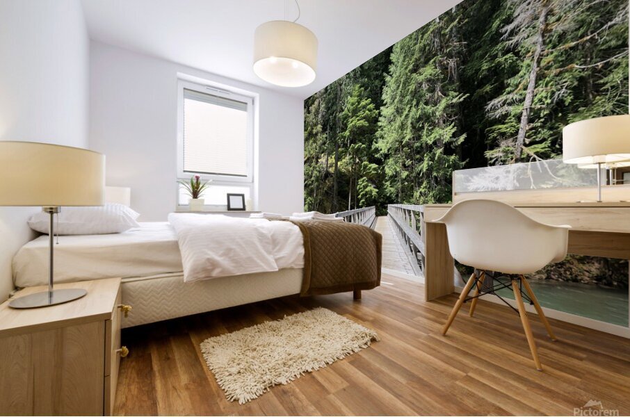 Ross Lake Mural print