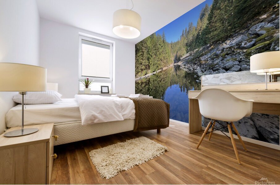 Canada 2 Mural print