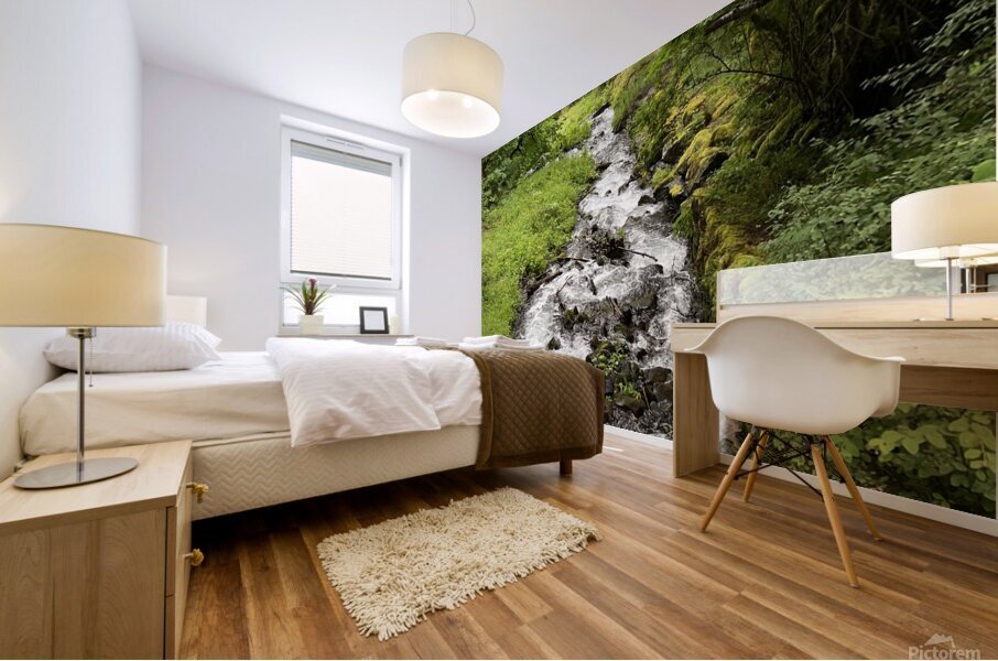 Oregon Mural print