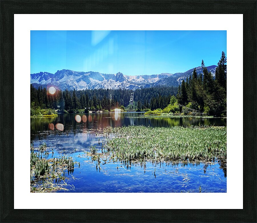 Mammoth Picture Frame print