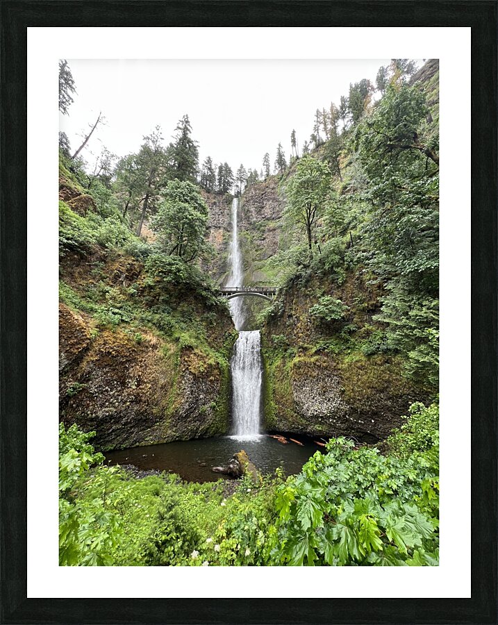 Multnomah Falls  Picture Frame print