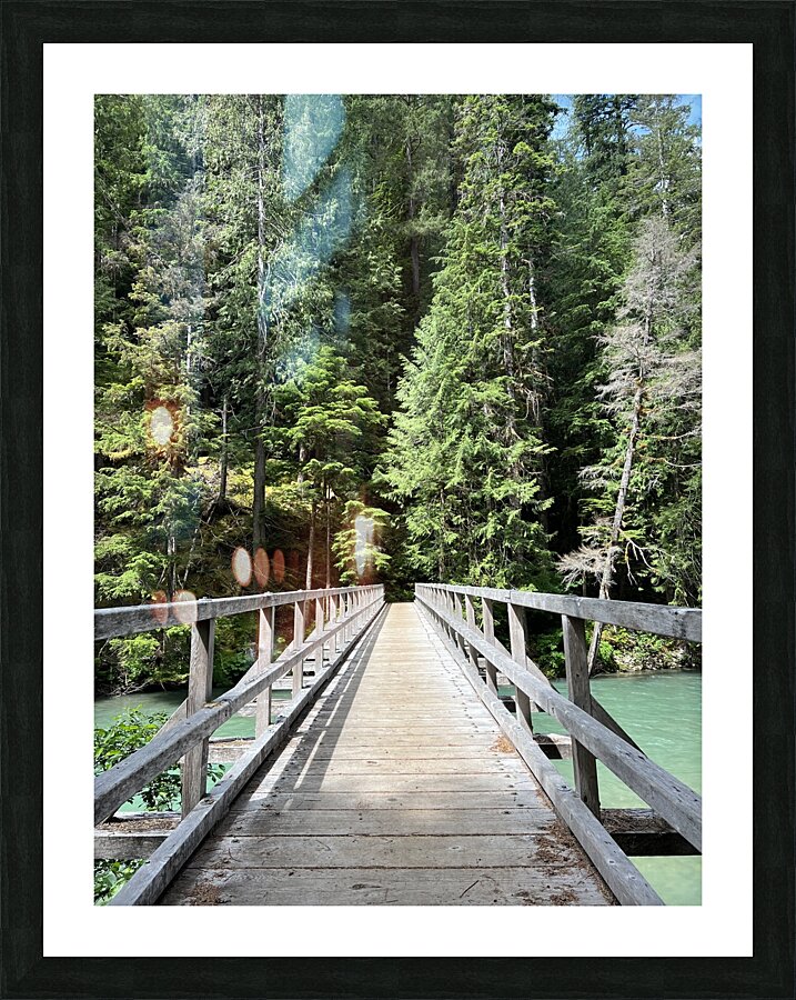 Ross Lake Picture Frame print