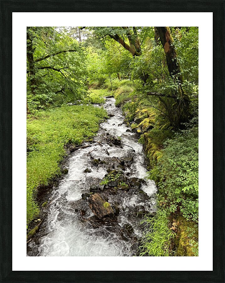 Oregon Picture Frame print