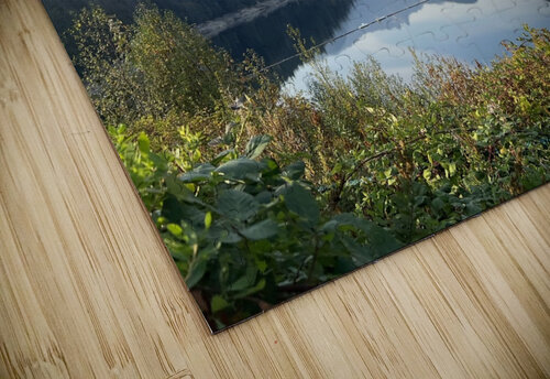 Capilano Michi puzzle