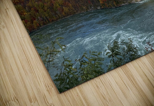 Whirlpool  Michi puzzle