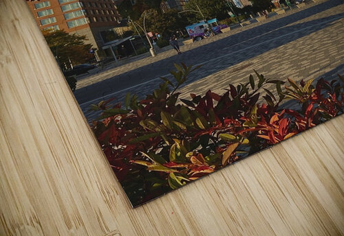 NY Michi puzzle