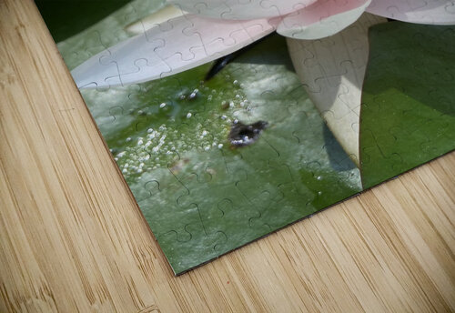 Water Lily Michi puzzle