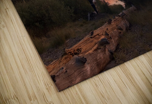 Mammoth Sunrise Michi puzzle