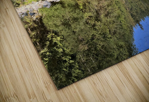 Canada Michi puzzle