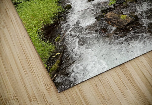 Oregon Michi puzzle