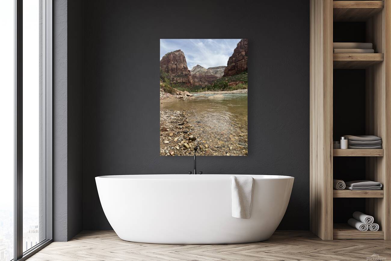Zion River Reproduction