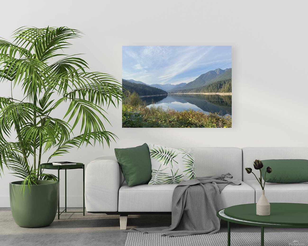 Capilano Reproduction